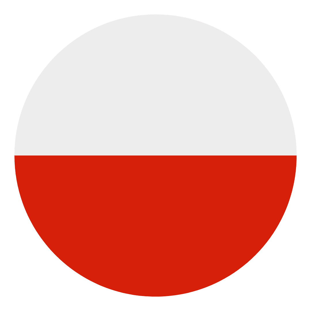 polish translation services 3