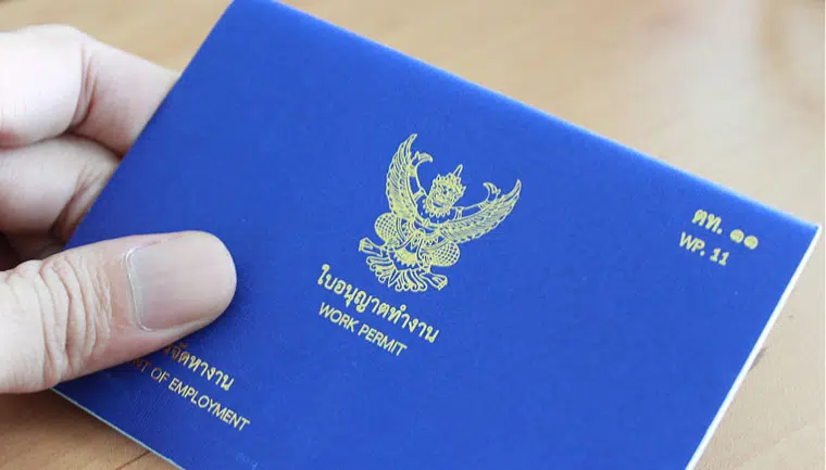 certified work permit translation